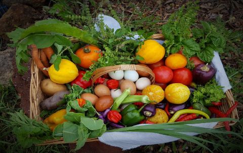 Goodness from our Travelers Rest farm